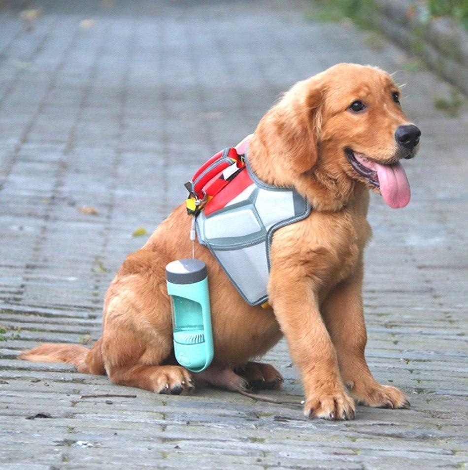 Pure filtration Water Bottle Dog Water Bottle Happy Paws Online 