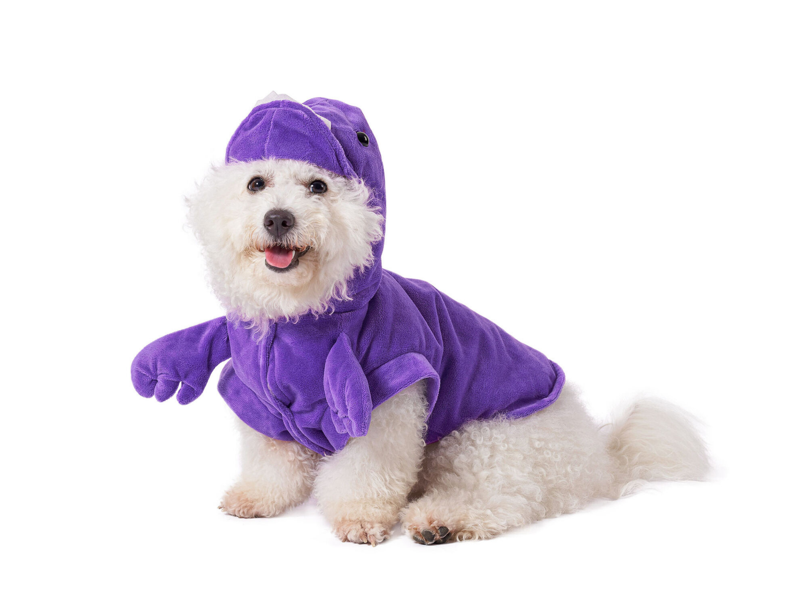 Purple Dino Costume Dog Apparel Happy Paws Online 