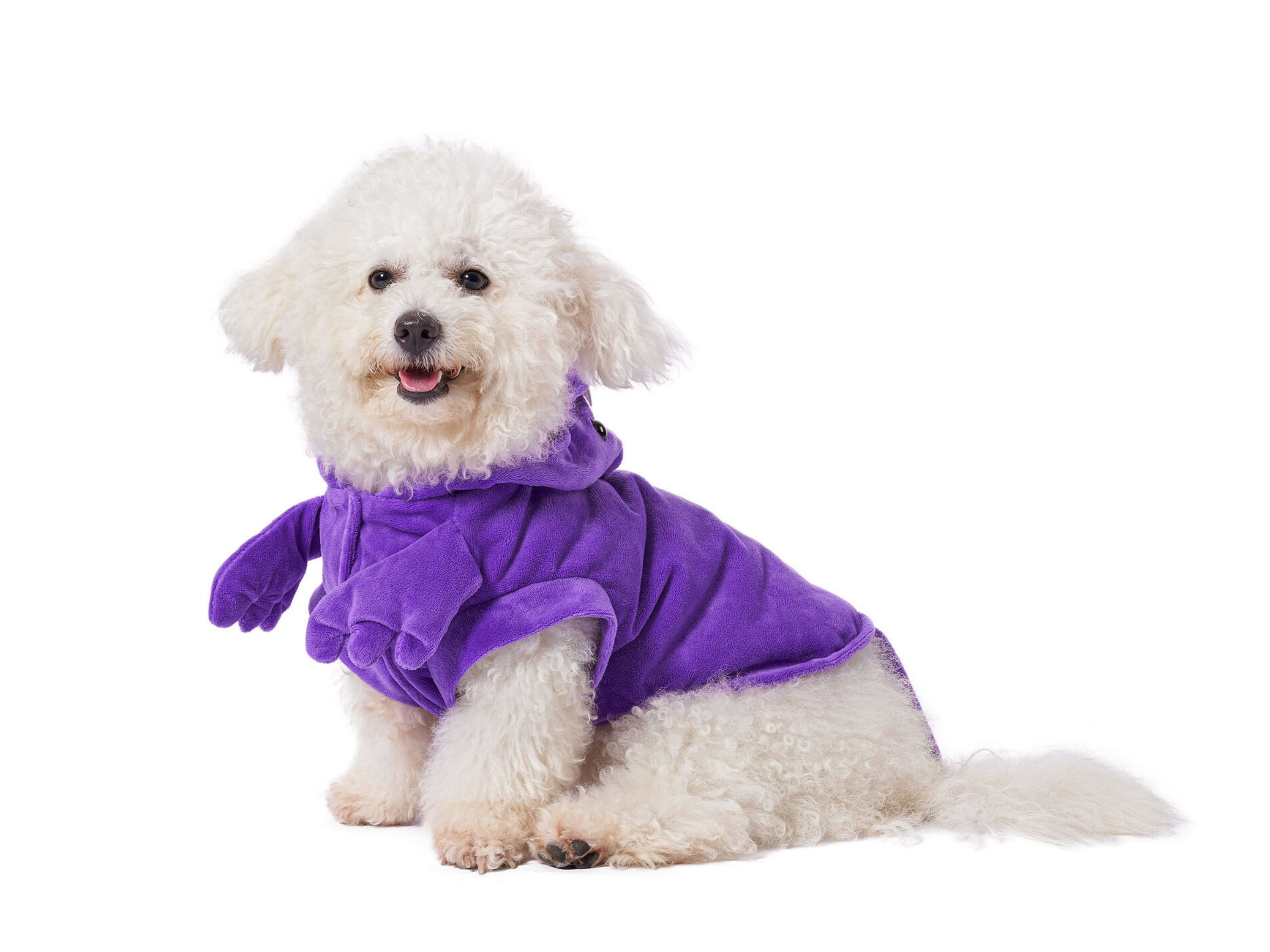 Purple Dino Costume Dog Apparel Happy Paws Online 