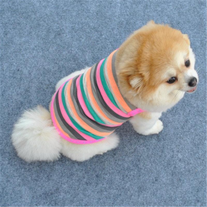 Rainbow Dog Vest Dog Vest Happy Paws 