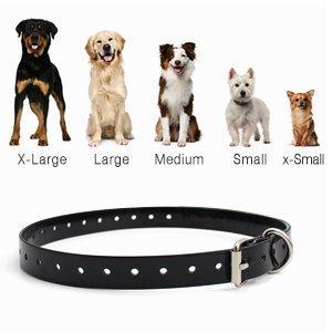 Rechargeable Training Collar & Remote dog training collar Happy Paws 