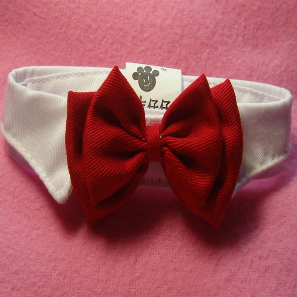 Red Bow Tie & Collar Dog Bow Tie Happy Paws 