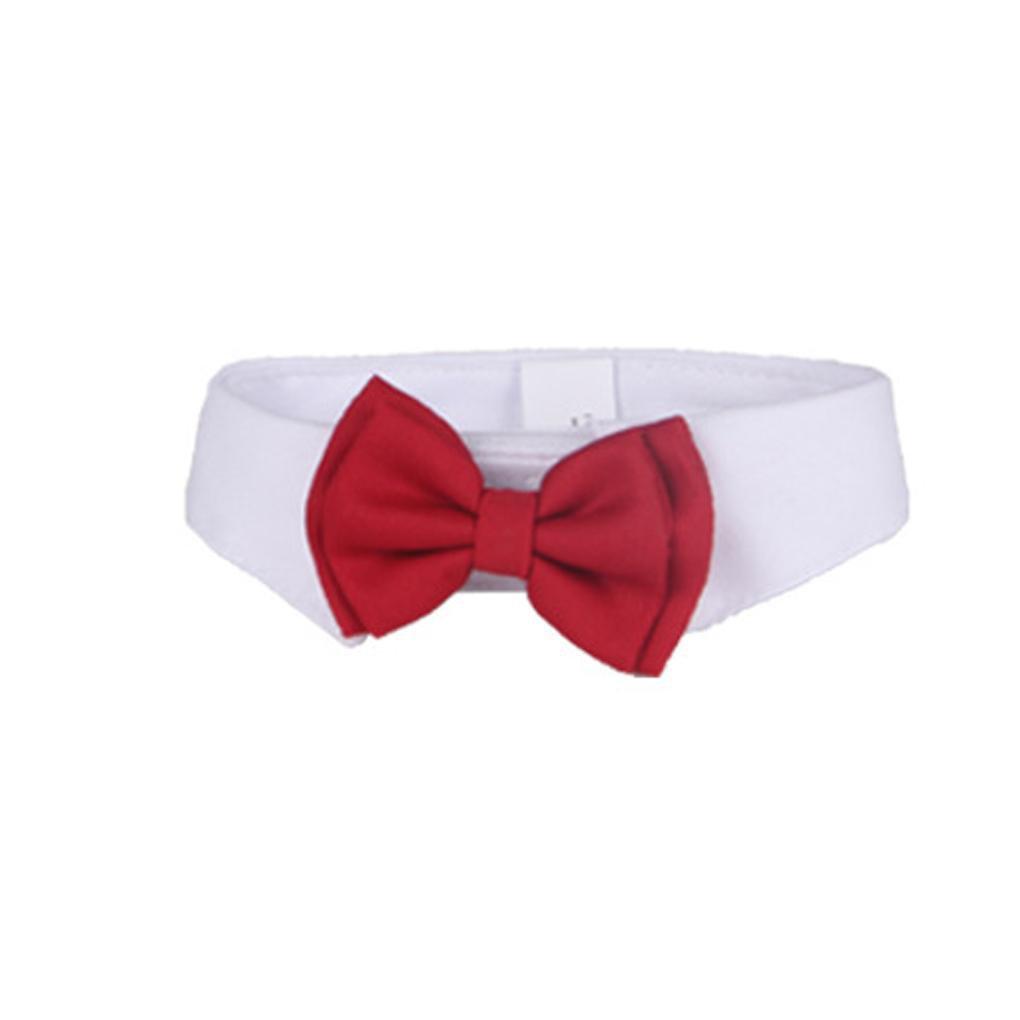 Red Bow Tie & Collar Dog Bow Tie Happy Paws Small 