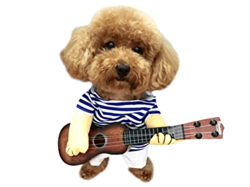 Rock n Roll Costume Dog Halloween Costume Happy Paws Online 