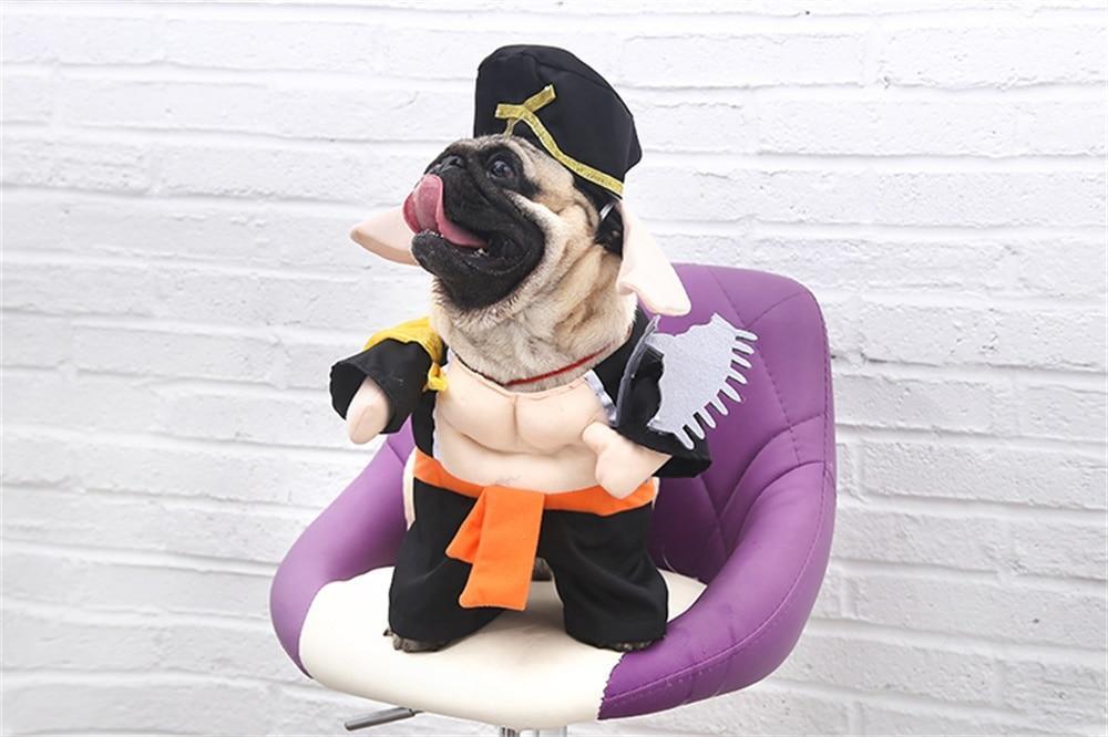 Shaolin Warrior Costume Dog Halloween Costume Happy Paws Online 