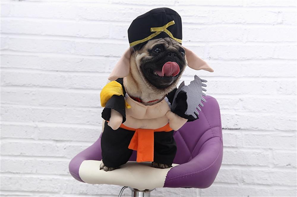 Shaolin Warrior Costume Dog Halloween Costume Happy Paws Online 