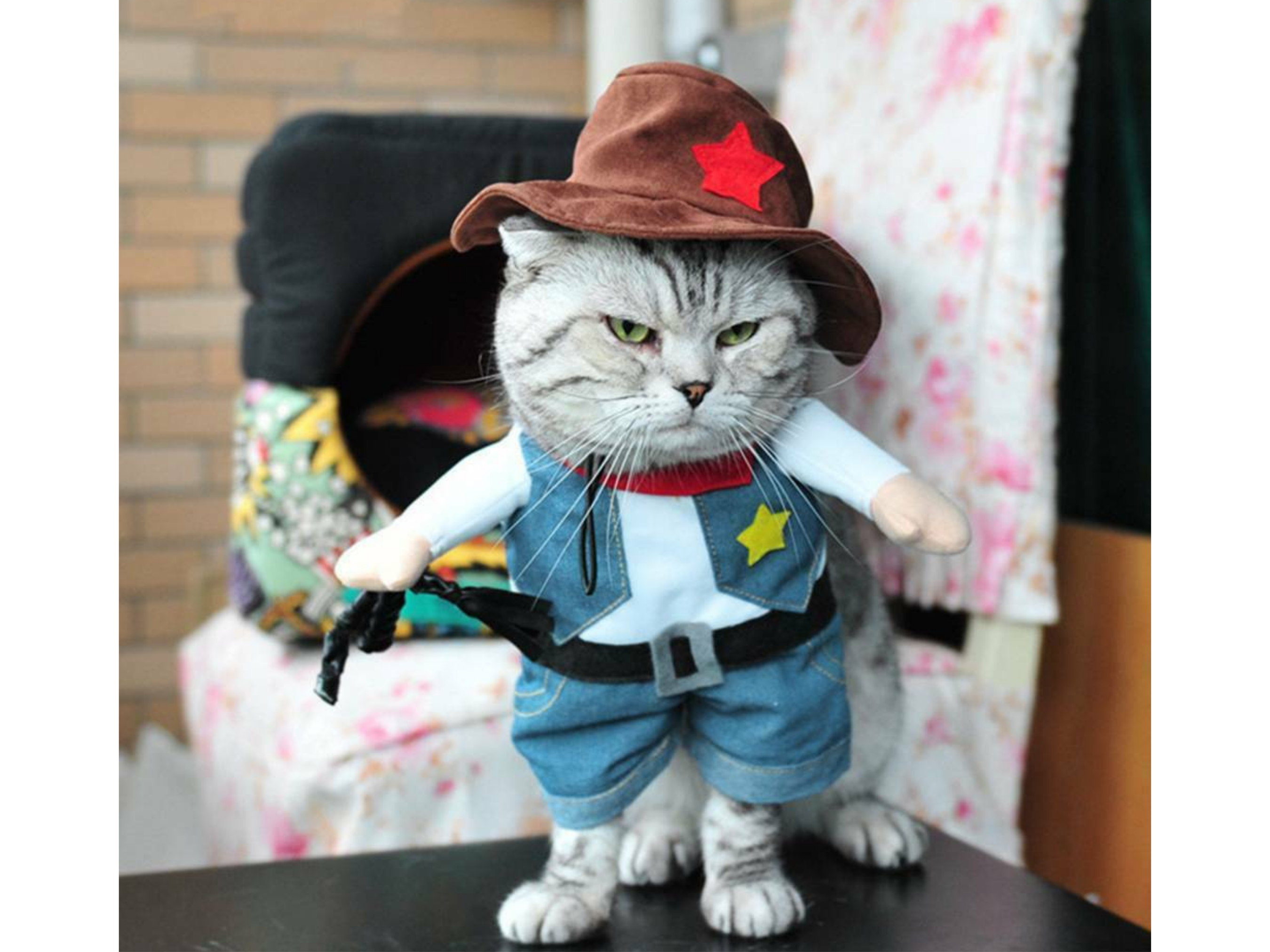 Sheriff Costume Dog Apparel Happy Paws Online 