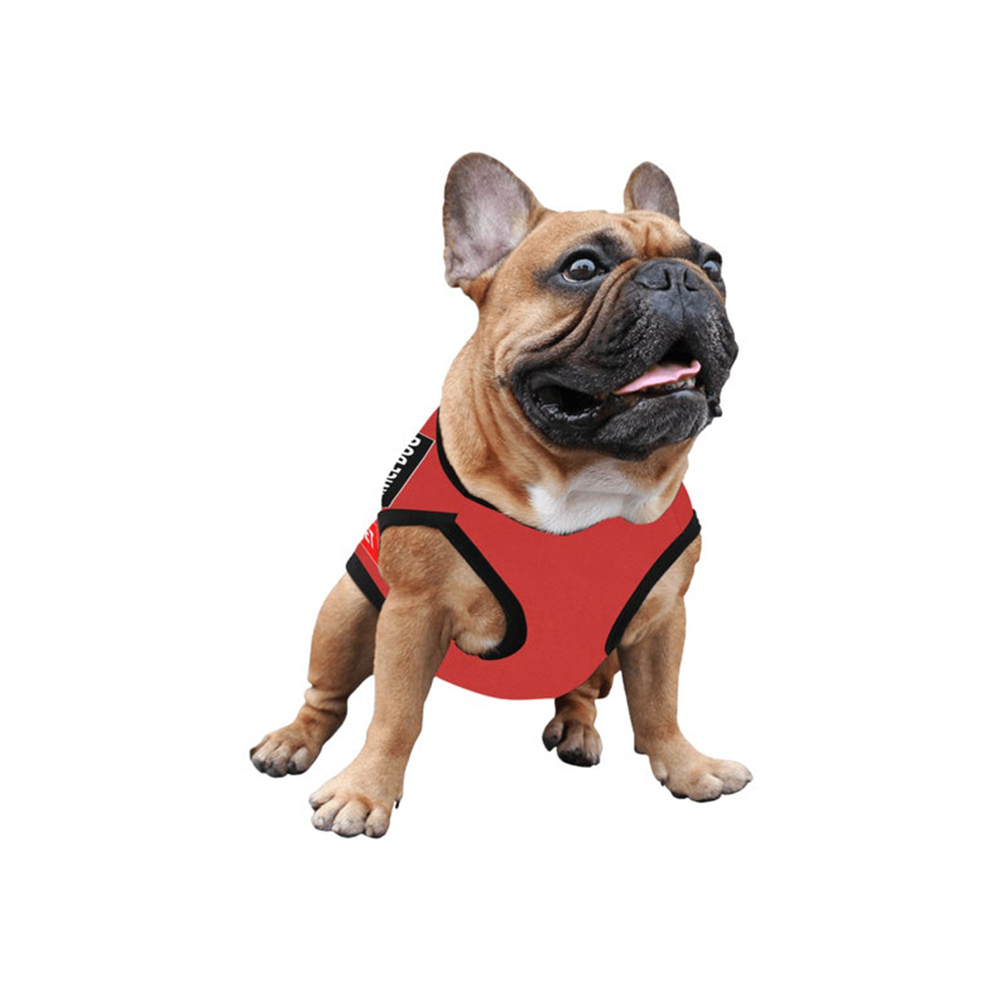 Gilet pour chien d'assistance
