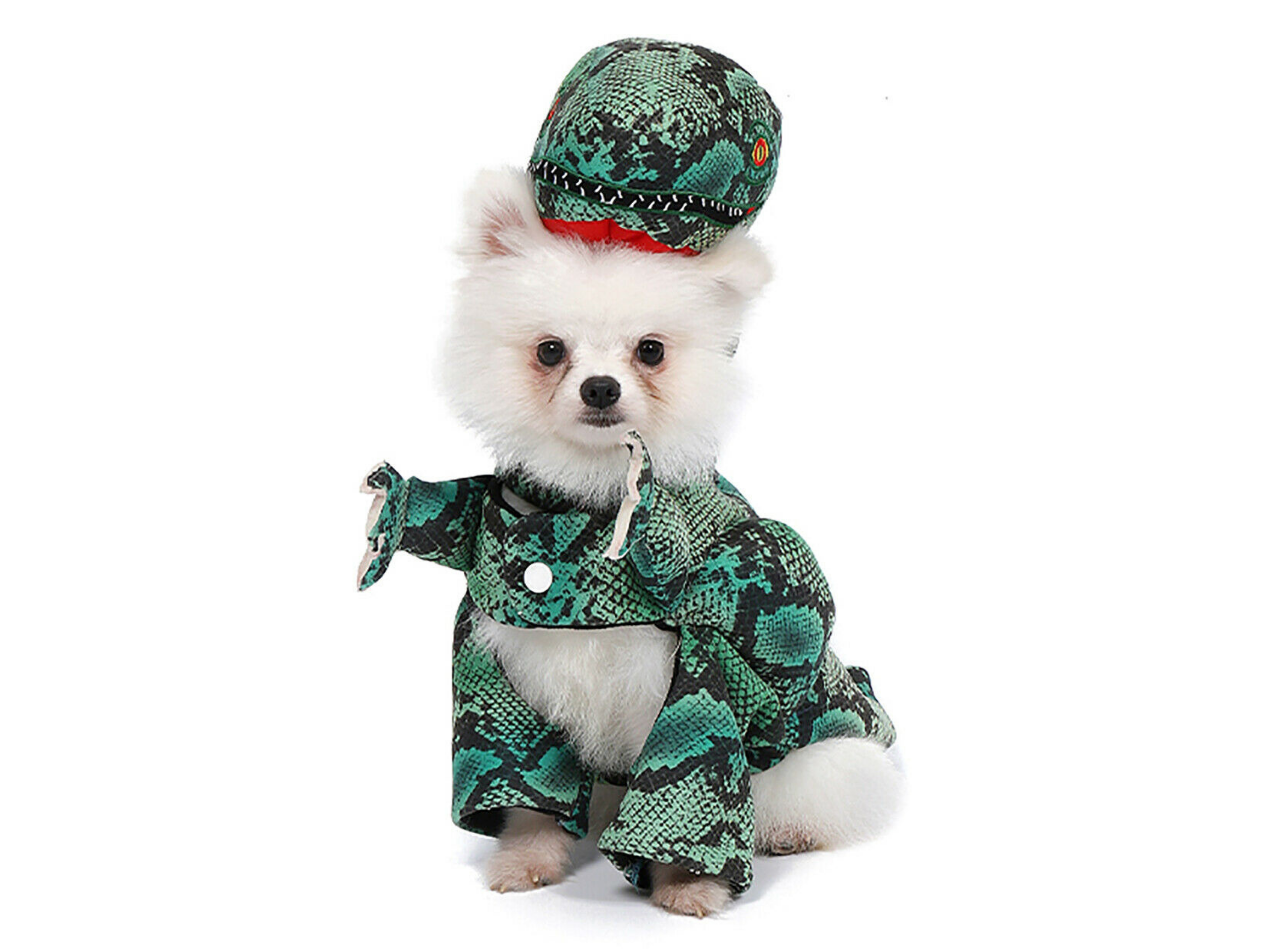 T. Rex Costume Dog Apparel Happy Paws Online 
