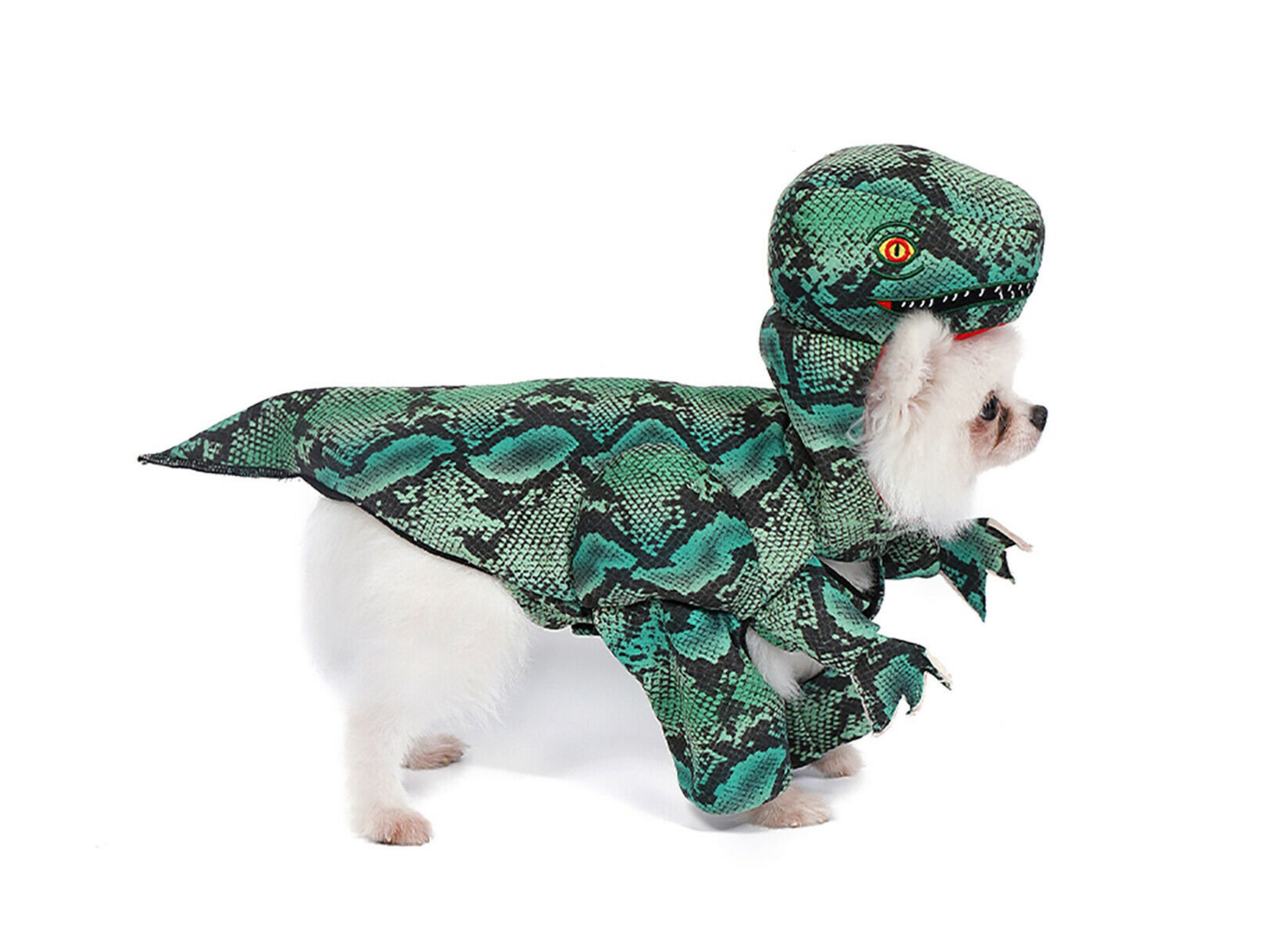 T. Rex Costume Dog Apparel Happy Paws Online 