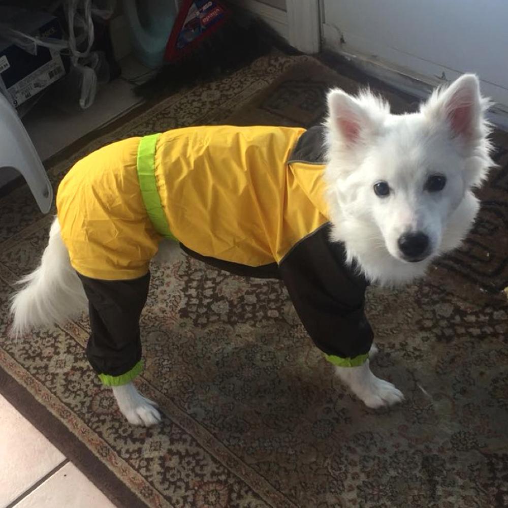 Taffeta shell Raincoat Dog Raincoat Happy Paws 