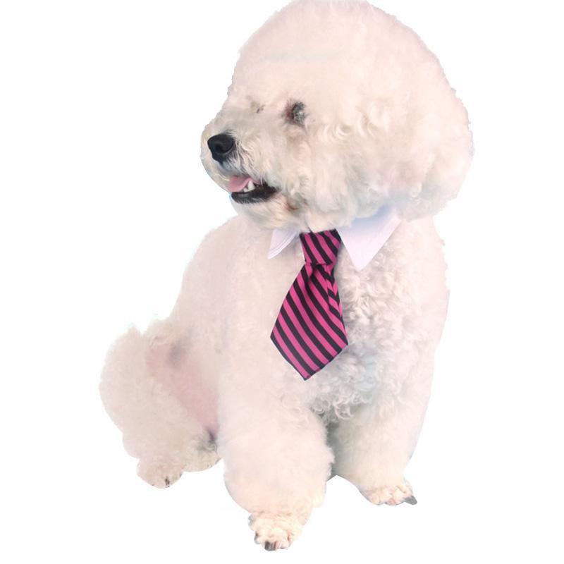 Tie & Collar Dog Tie Happy Paws 