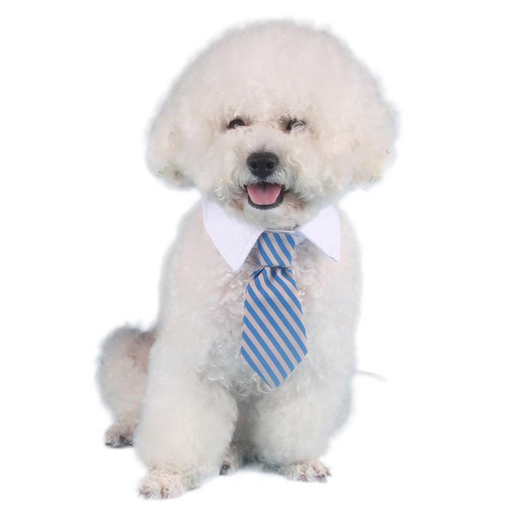 Tie & Collar Dog Tie Happy Paws 