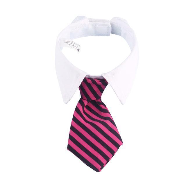 Tie & Collar Dog Tie Happy Paws Black & Red Striped Small 