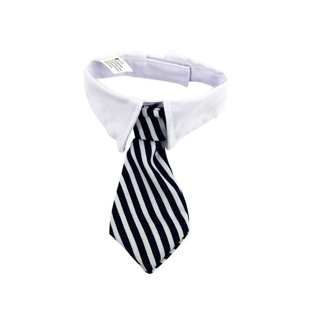 Tie & Collar Dog Tie Happy Paws Black & White Striped Small 