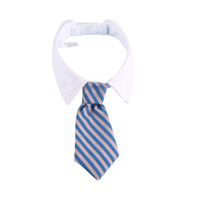 Tie & Collar Dog Tie Happy Paws Blue & Pink Striped Small 