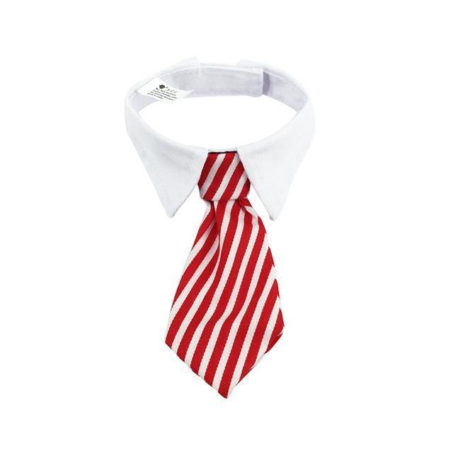 Tie & Collar Dog Tie Happy Paws Red & White Striped Small 