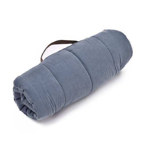 Travel Dog Bed Beds Happy Paws Blue 