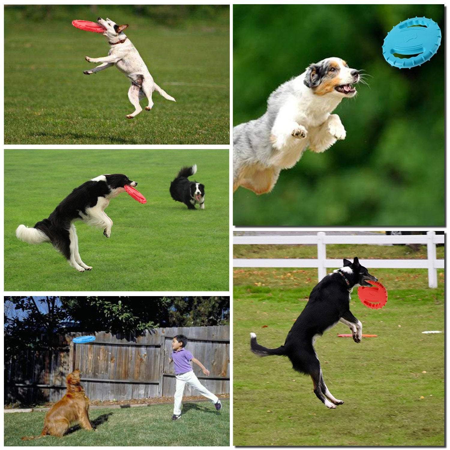 Water Sports Frisbee Dog Frisbee Happy Paws 