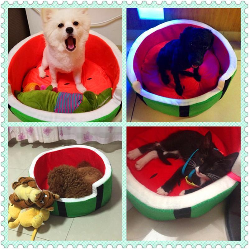Watermelon Bed Beds Happy Paws 
