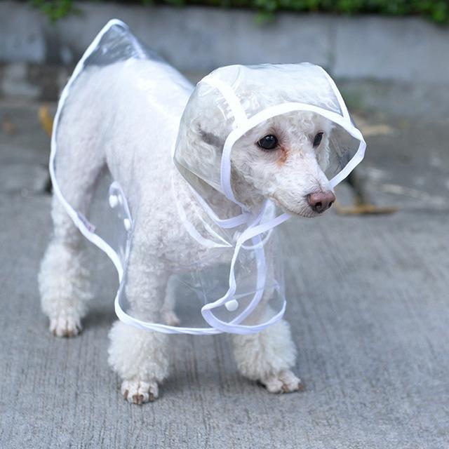 Waterproof Transparent Raincoat Dog Raincoat Happy Paws 