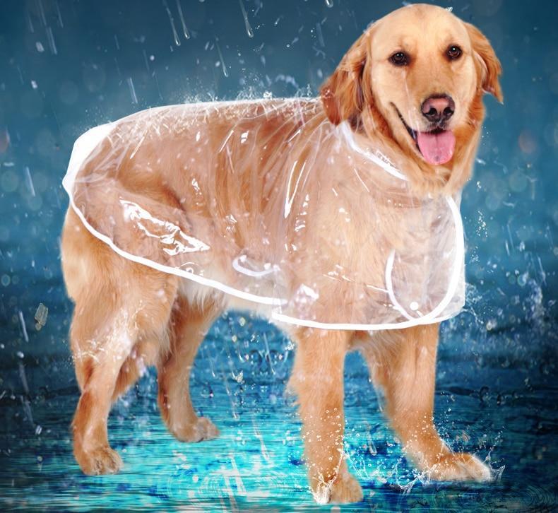 Waterproof Transparent Raincoat Dog Raincoat Happy Paws 