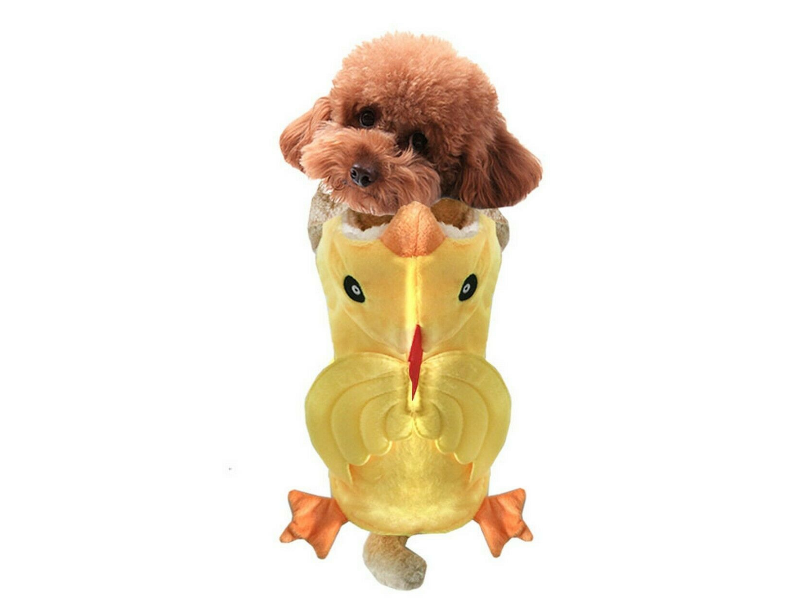 Yellow Chicken Costume Dog Apparel Happy Paws Online 